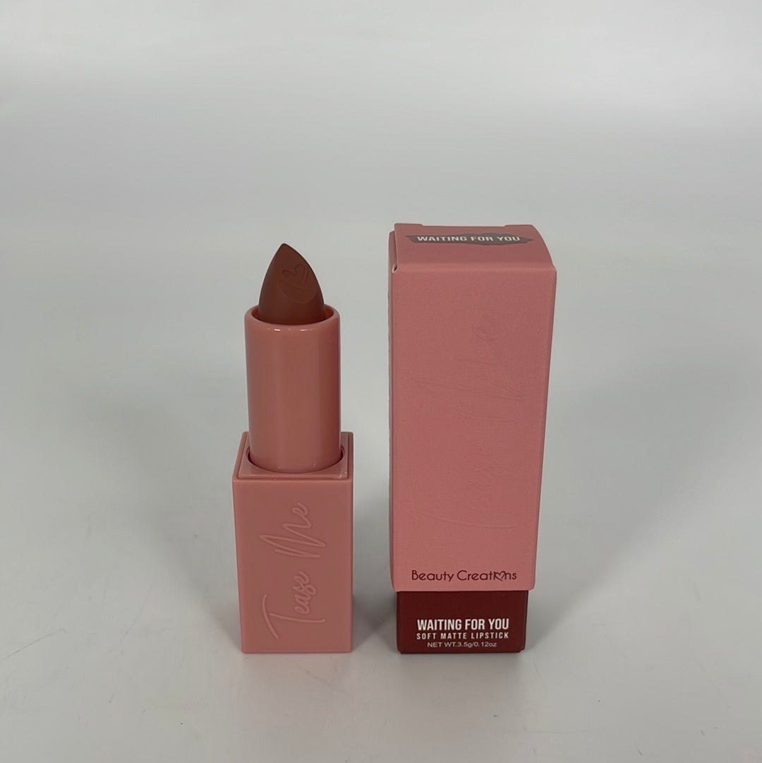 LTM04 BC TEASE ME LIPSTICK- WAITING FOR YOU Beauty Creations (6)