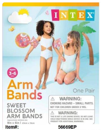 56669EP 9X6"INTEX SWEET BLOSSOM ARM BANDS (36/CS)