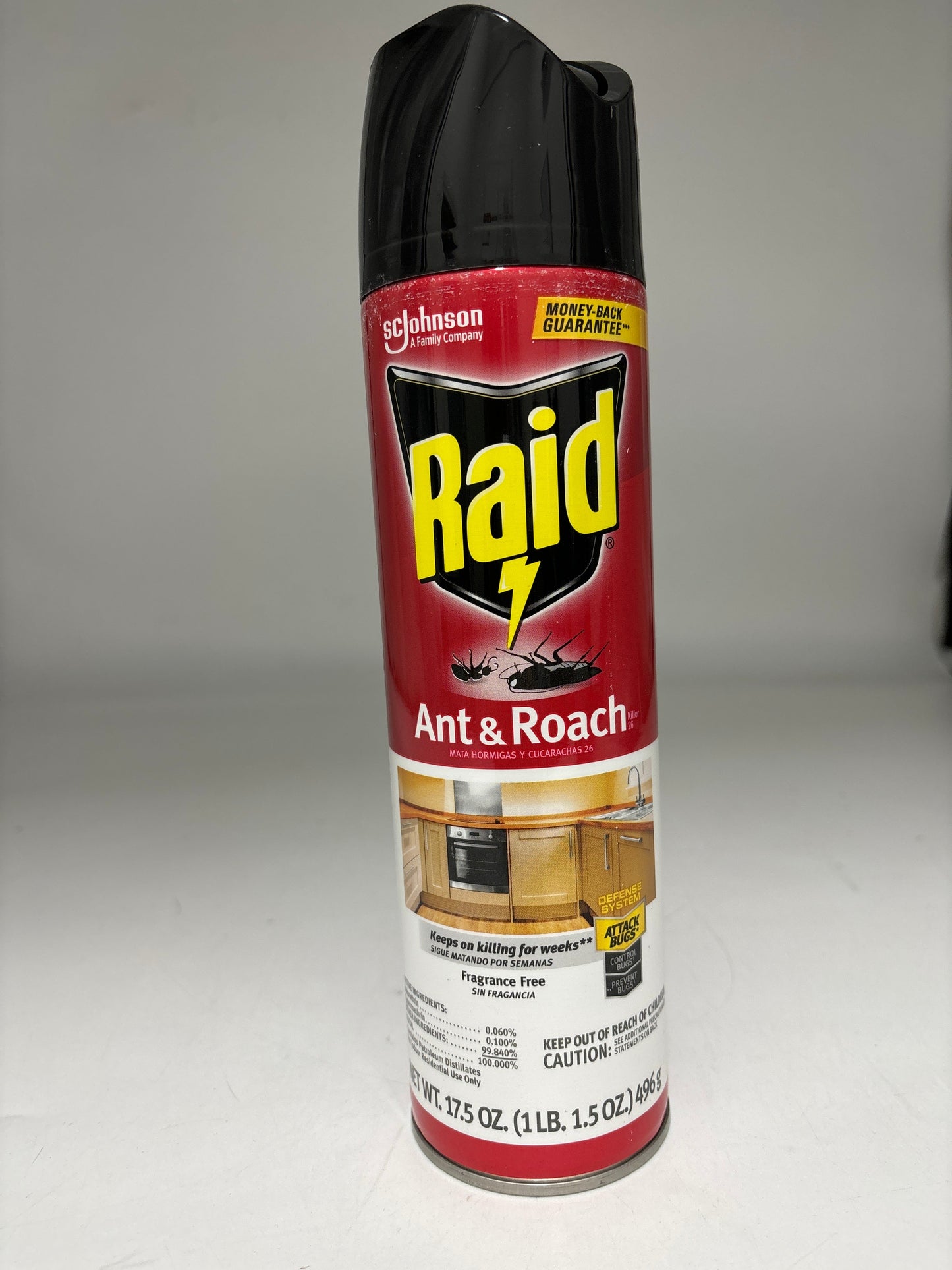 17178 RAID ANT & ROACH FRAGANCE FREE 17.5 OZ  (12)