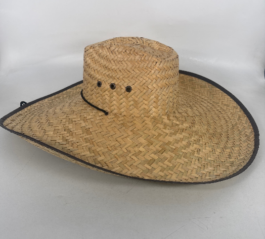 ME-009 mexican straw hat som spidy  10 PC