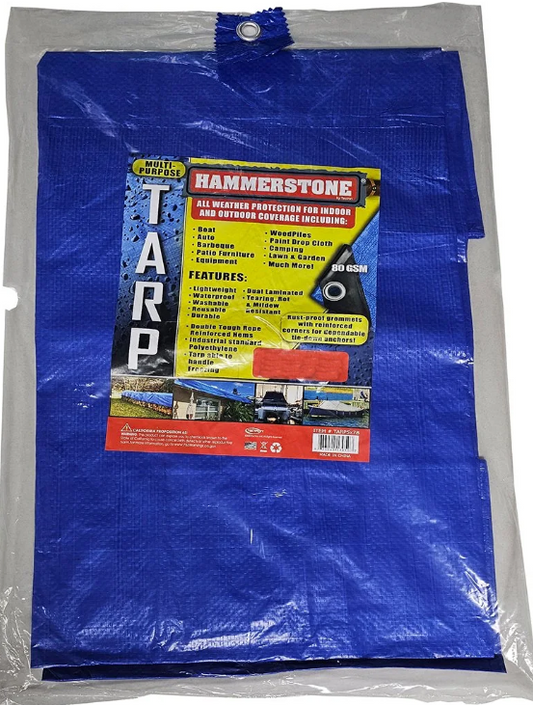TB10X20 10X20FT TARP BLUE 80GSM (10PCS/CS)