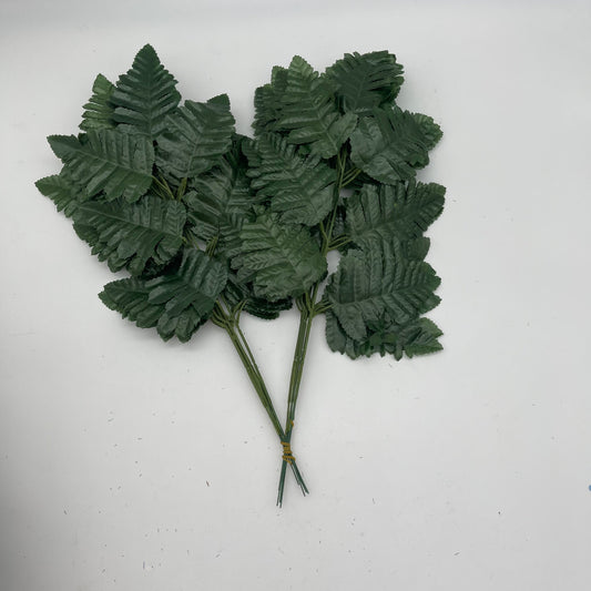 Leather Fern (10dz/box)