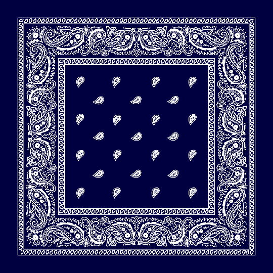 Bandanas Dozen Pack (50dzs/cs)